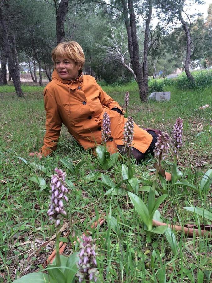Orchidea Mattinata Parco Del Garganoアパートメント エクステリア 写真